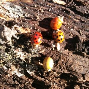 Meet your Posher, Larry